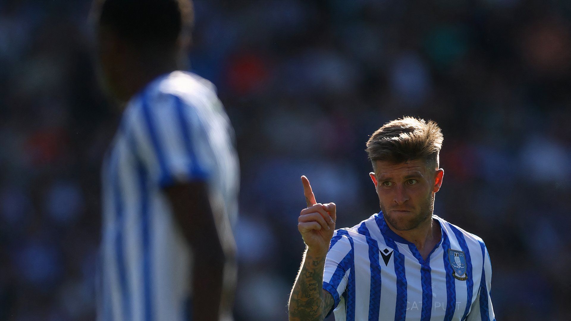 Sheffield Wednesday Josh Windass Issues Sheffield United Warning Ahead