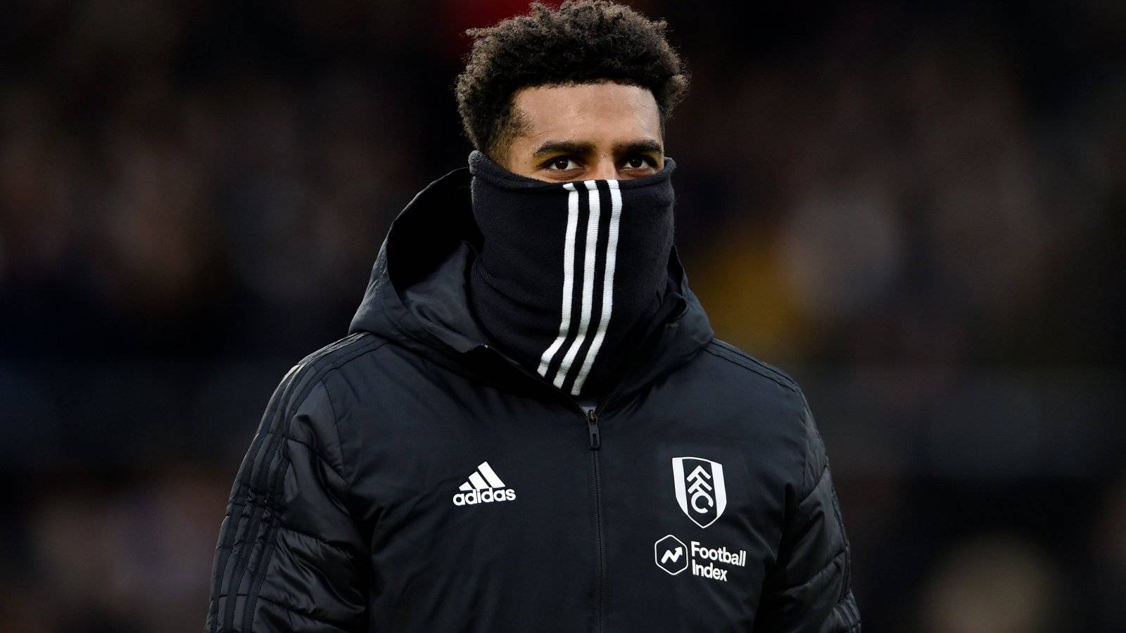 'Really stepped up today', 'World class' - These Fulham fans were very ...