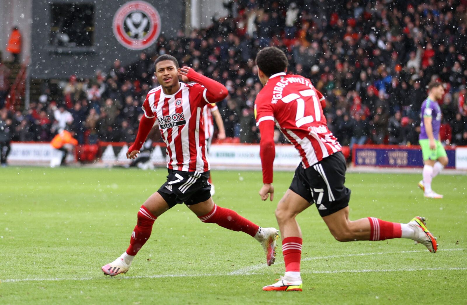 Soccer Football - Championship - Sheffield United v Bristol City - Bramall Lane, Sheffield, Britain - November 28, 2021 Sheffield United's Rhian Brewster celebrates scoring their first goal Action Images/Molly Darlington EDITORIAL USE ONLY. No use with unauthorized audio, video, data, fixture lists, club/league logos or 'live' services. Online in-match use limited to 75 images, no video emulation. No use in betting, games or single club /league/player publications.  Please contact your account r