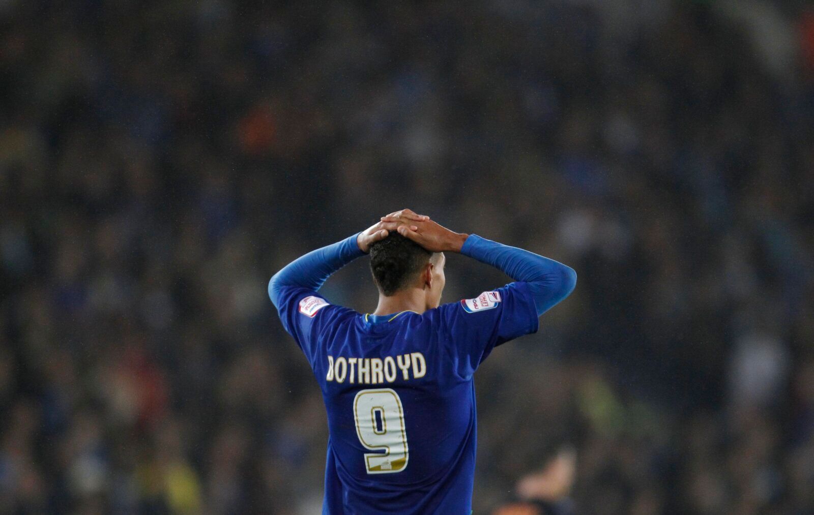 Football - Cardiff City v Reading npower Football League Championship Play-Off Semi Final Second Leg - Cardiff City Stadium - 10/11 - 17/5/11 
Cardiff's Jay Bothroyd looks dejected 
Mandatory Credit: Action Images / Paul Harding 
Livepic