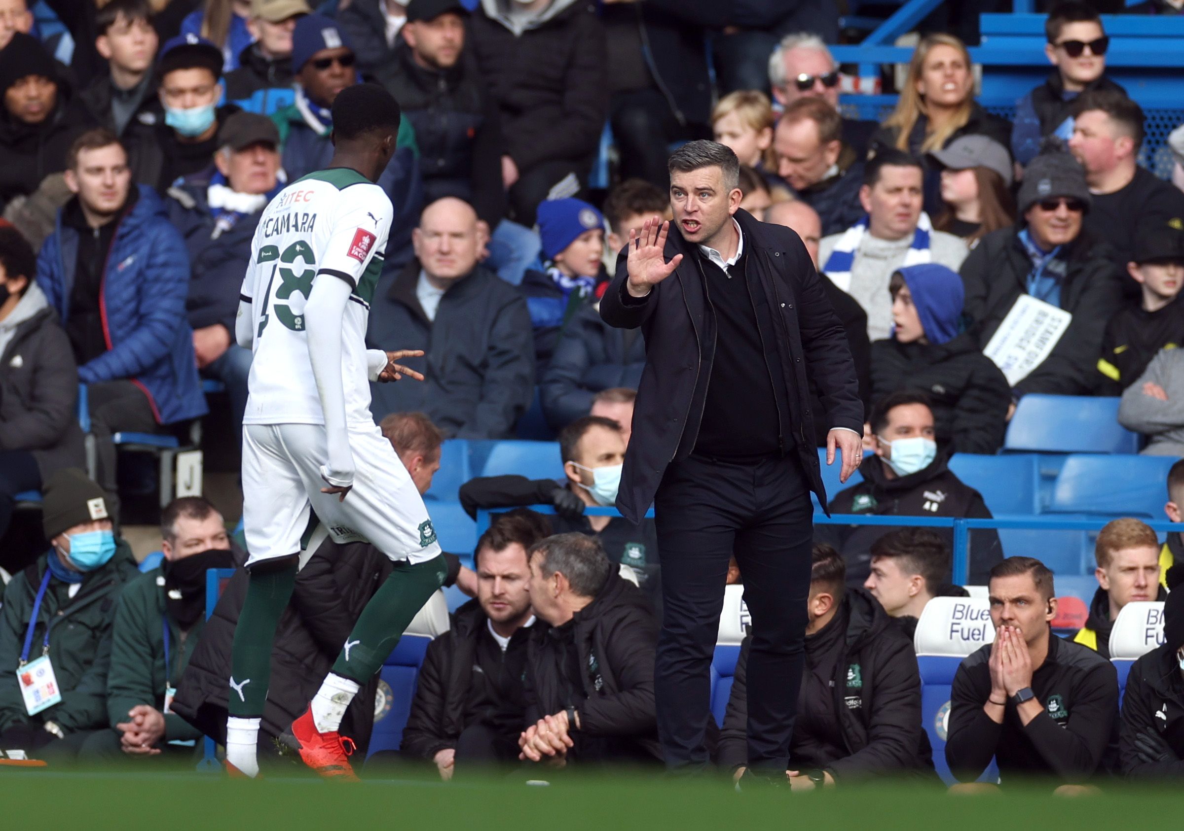 Soccer Football - FA Cup - Fourth Round - Chelsea v Plymouth Argyle - Stamford Bridge, London, Britain - February 5, 2022 Plymouth Argyle manager Steven Schumacher speaks with Plymouth Argyle's Panutche Camara Action Images via Reuters/Paul Childs