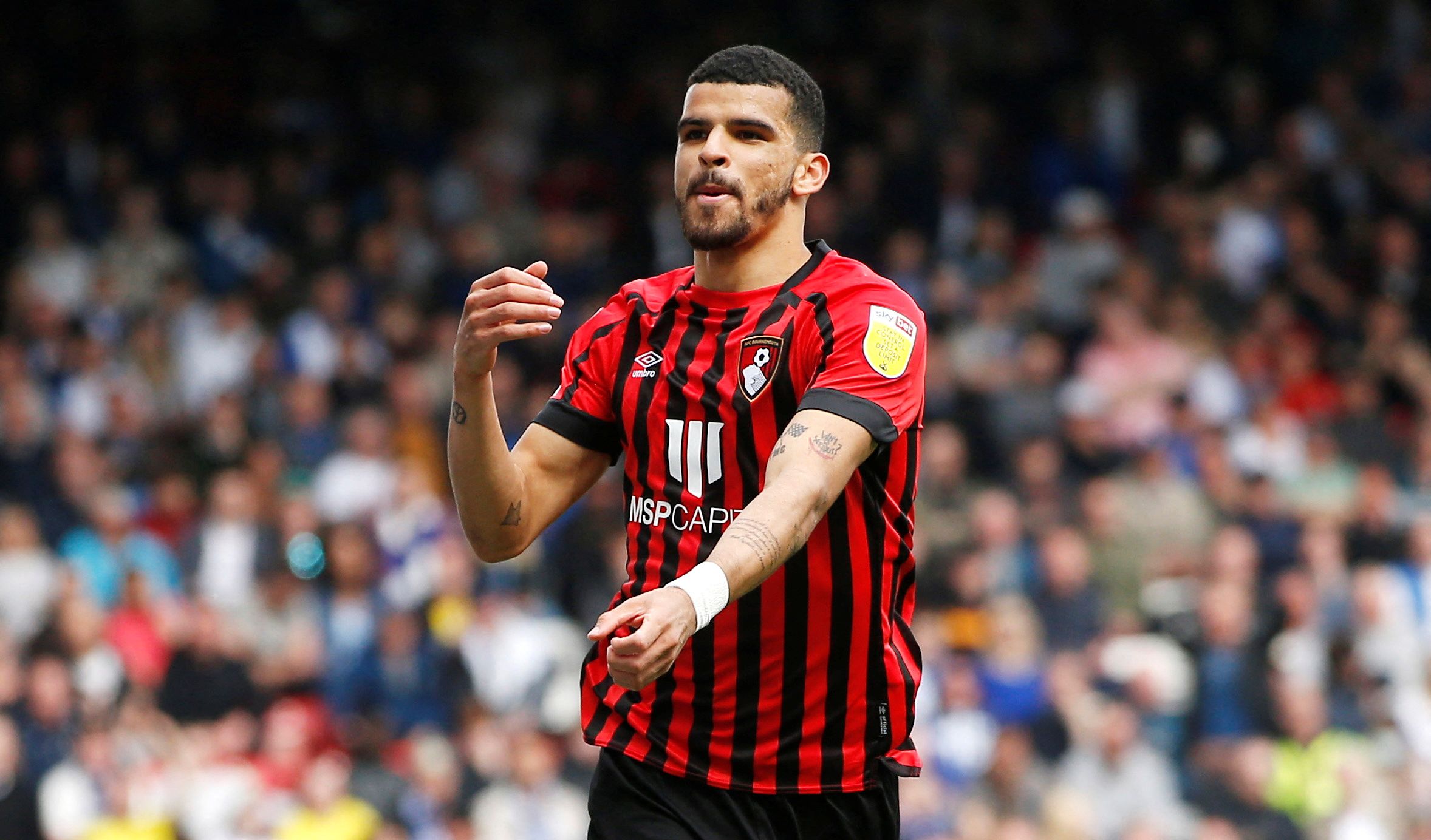 Soccer Football - Championship - Blackburn Rovers v AFC Bournemouth - Ewood Park, Blackburn, Britain - April 30, 2022 AFC Bournemouth's Dominic Solanke celebrates scoring their first goal  Action Images/Craig Brough  EDITORIAL USE ONLY. No use with unauthorized audio, video, data, fixture lists, club/league logos or 