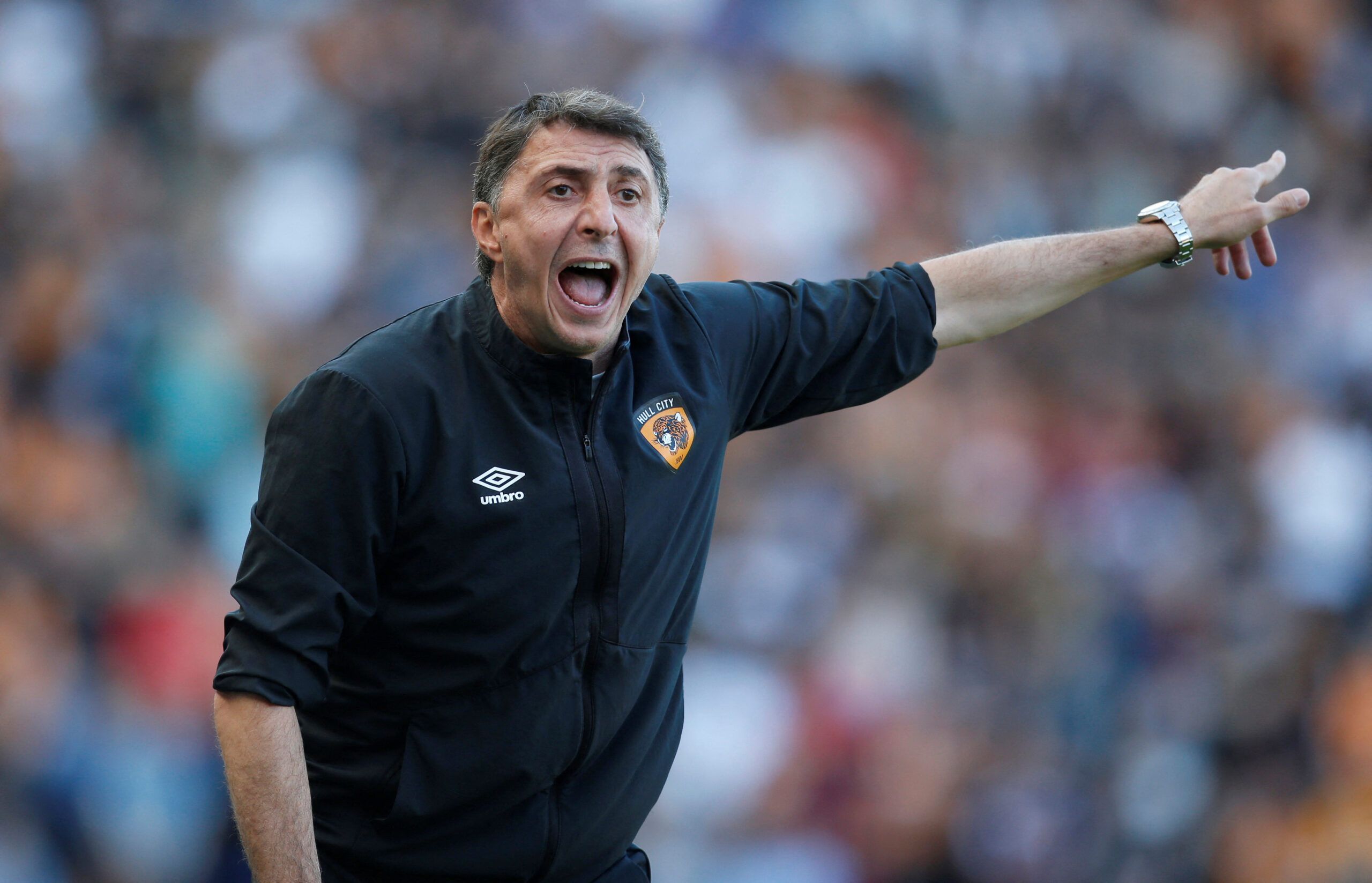 Soccer Football - Championship - Hull City v Coventry City - MKM Stadium, Hull, Britain - August 27, 2022 Hull City manager Shota Arveladze reacts Action Images/Ed Sykes EDITORIAL USE ONLY. No use with unauthorized audio, video, data, fixture lists, club/league logos or 