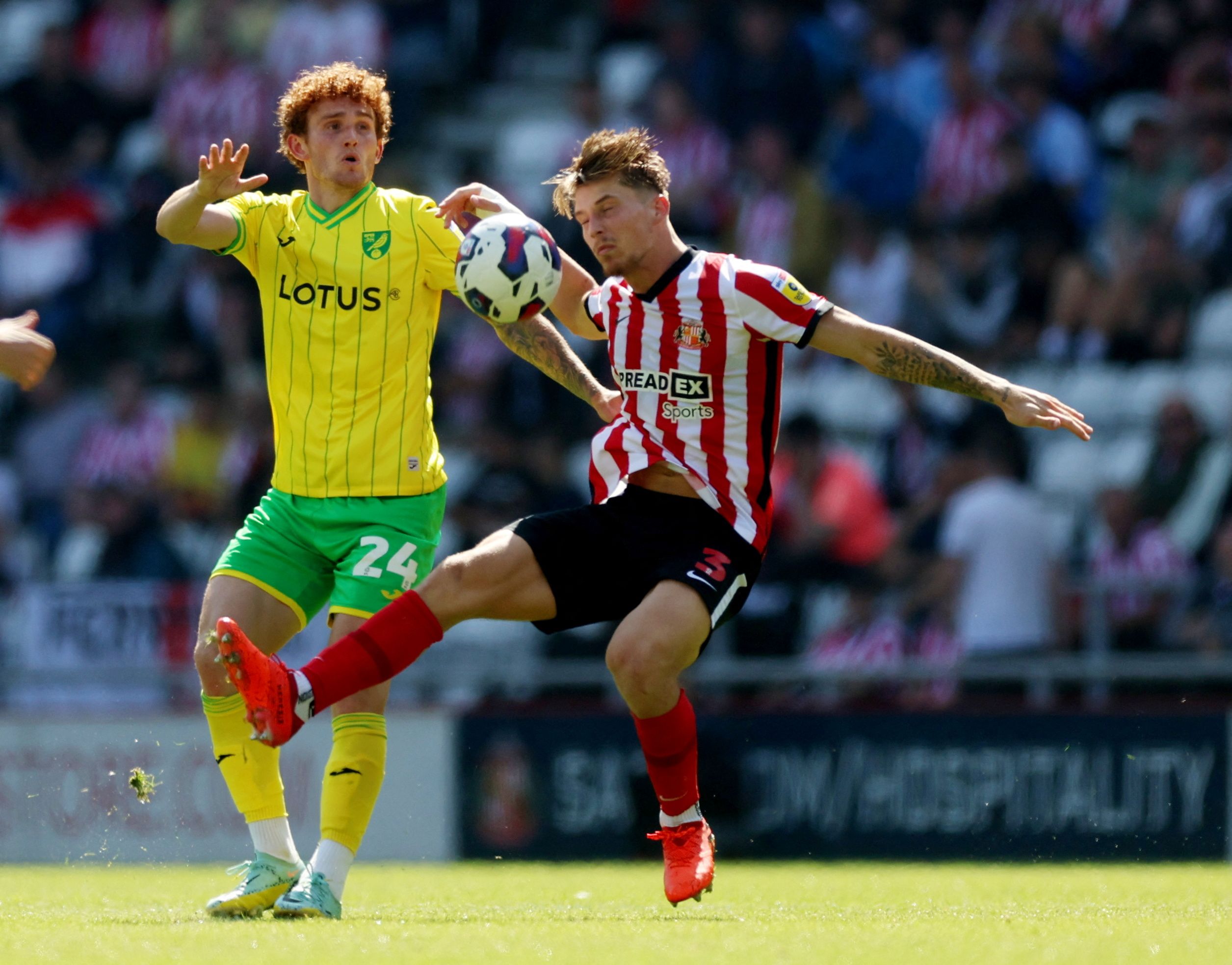 Sunderland's Dennis Cirkin salvages a point at Millwall in a brief comeback  from injury - Chronicle Live