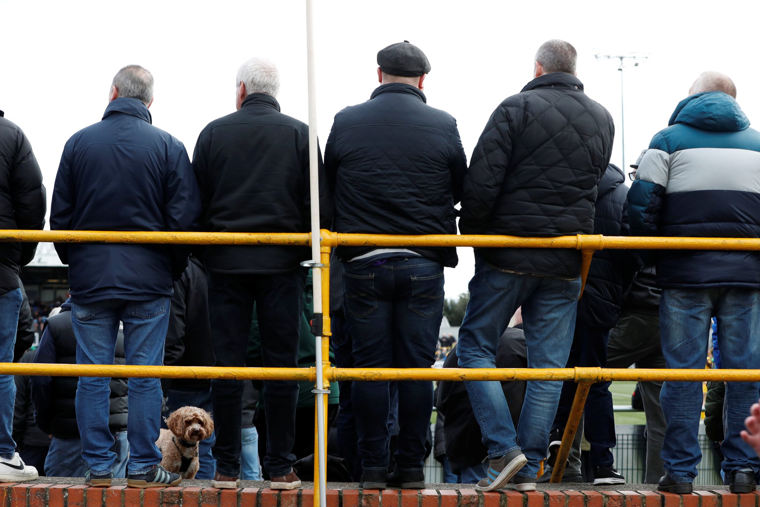 Soccer Football - Conference Premier - Sutton United v Hartlepool United - Borough Sports Ground, Sutton, Britain - March 14, 2020   Fans and a dog in the stands as the game goes ahead despite many football matches in the UK suspended due to the number of coronavirus cases growing around the world    Action Images via Reuters/Paul Childs    EDITORIAL USE ONLY. No use with unauthorized audio, video, data, fixture lists, club/league logos or 