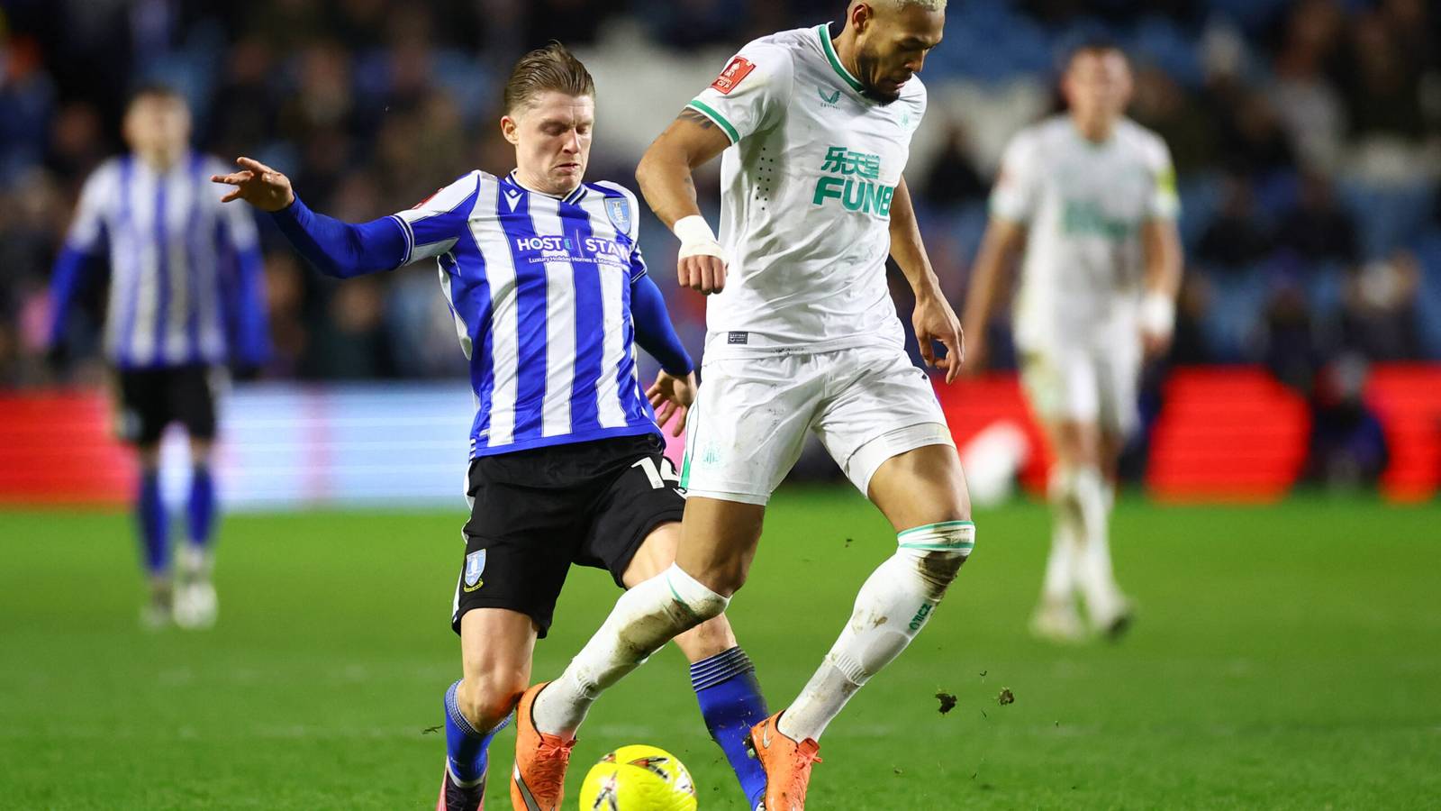 Darren Moore issues update on key Sheffield Wednesday player after ...
