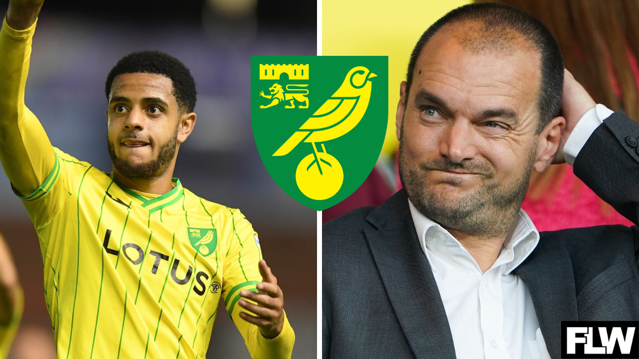 Stuart Webber makes frank Norwich City transfer admission about two players