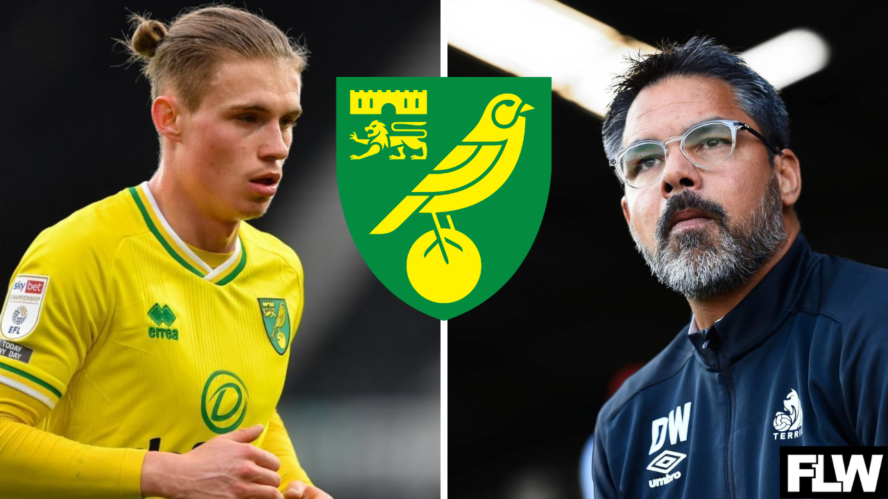 Norwich City’s 3 most underwhelming signings from the last 10 years