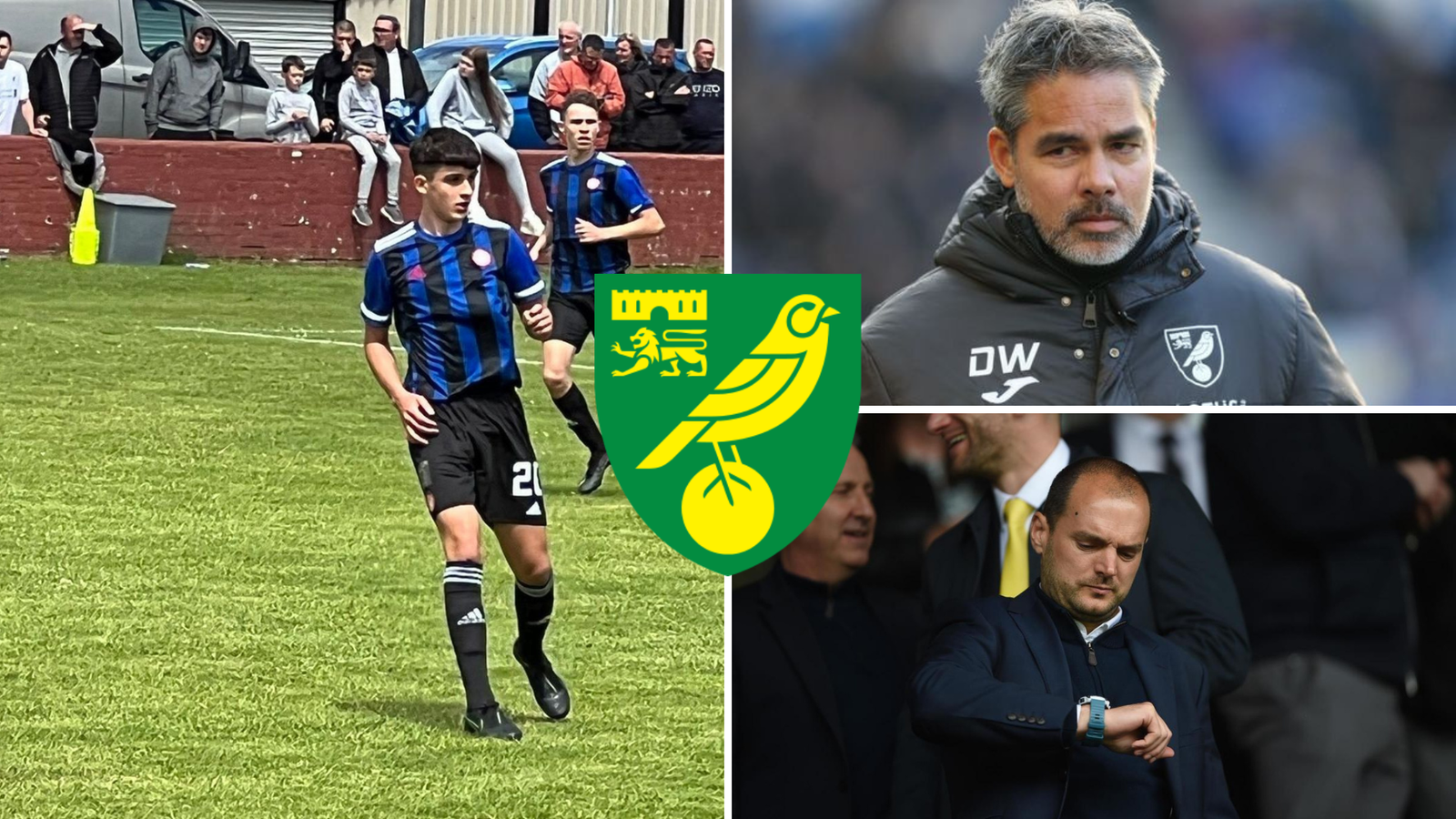 Norwich City set to complete another early summer deal