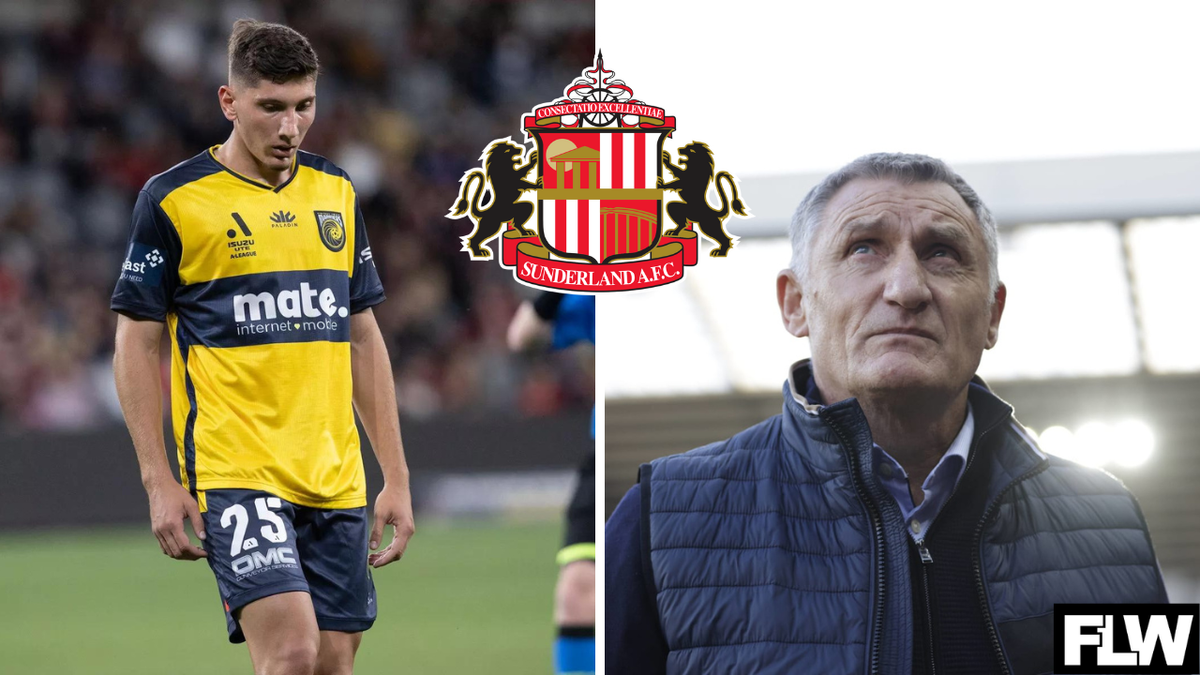 Nectarios Triantis coy on Sunderland move