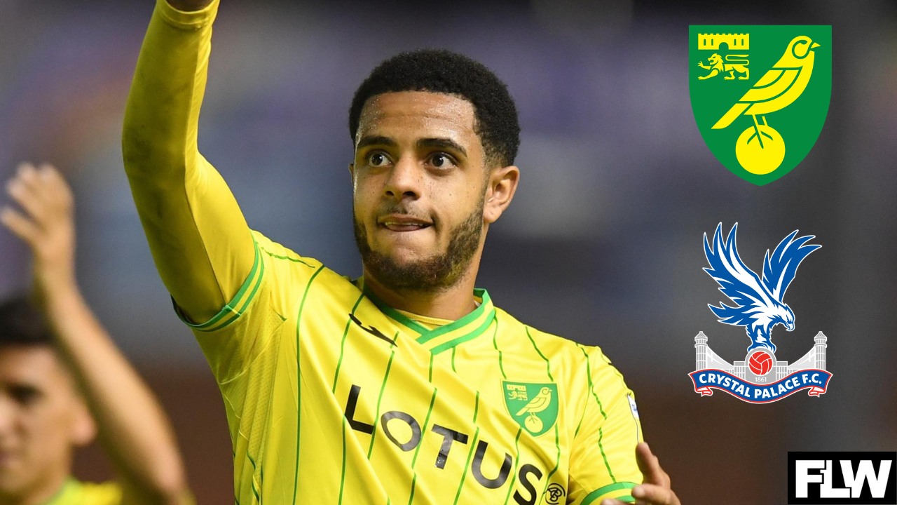 Crystal Palace is literally the perfect next step for Norwich City star, here’s why