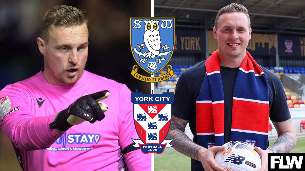 David Stockdale joins York City after Sheffield Wednesday exit