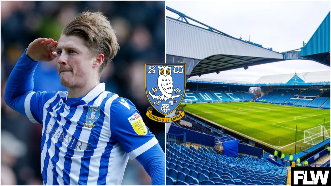 George Byers makes honest claim about his situation at Sheffield Wednesday