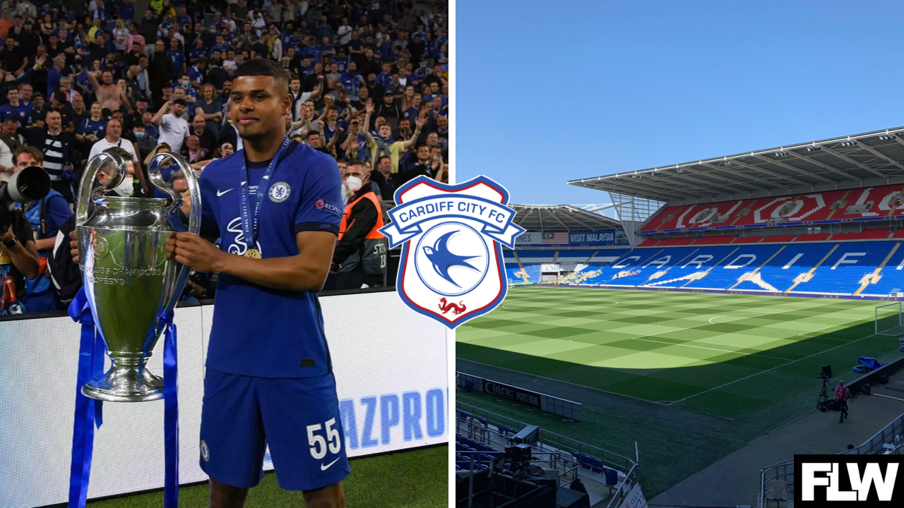 The Cardiff City players who have shown early promise in Erol