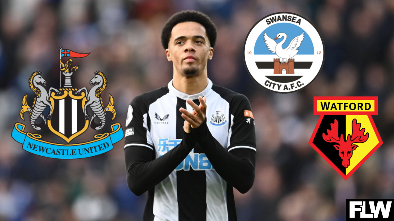 Swansea City join Watford in transfer race for Newcastle United player |  Flipboard