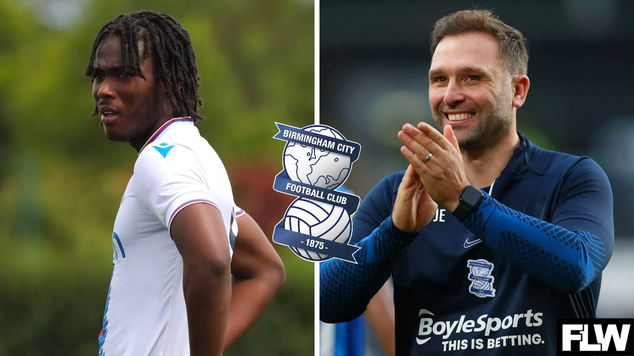 Predicting the next 3 birmingham city wonderkids to break through into