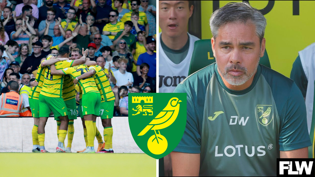 Norwich City team news: The players set to miss Swansea match
