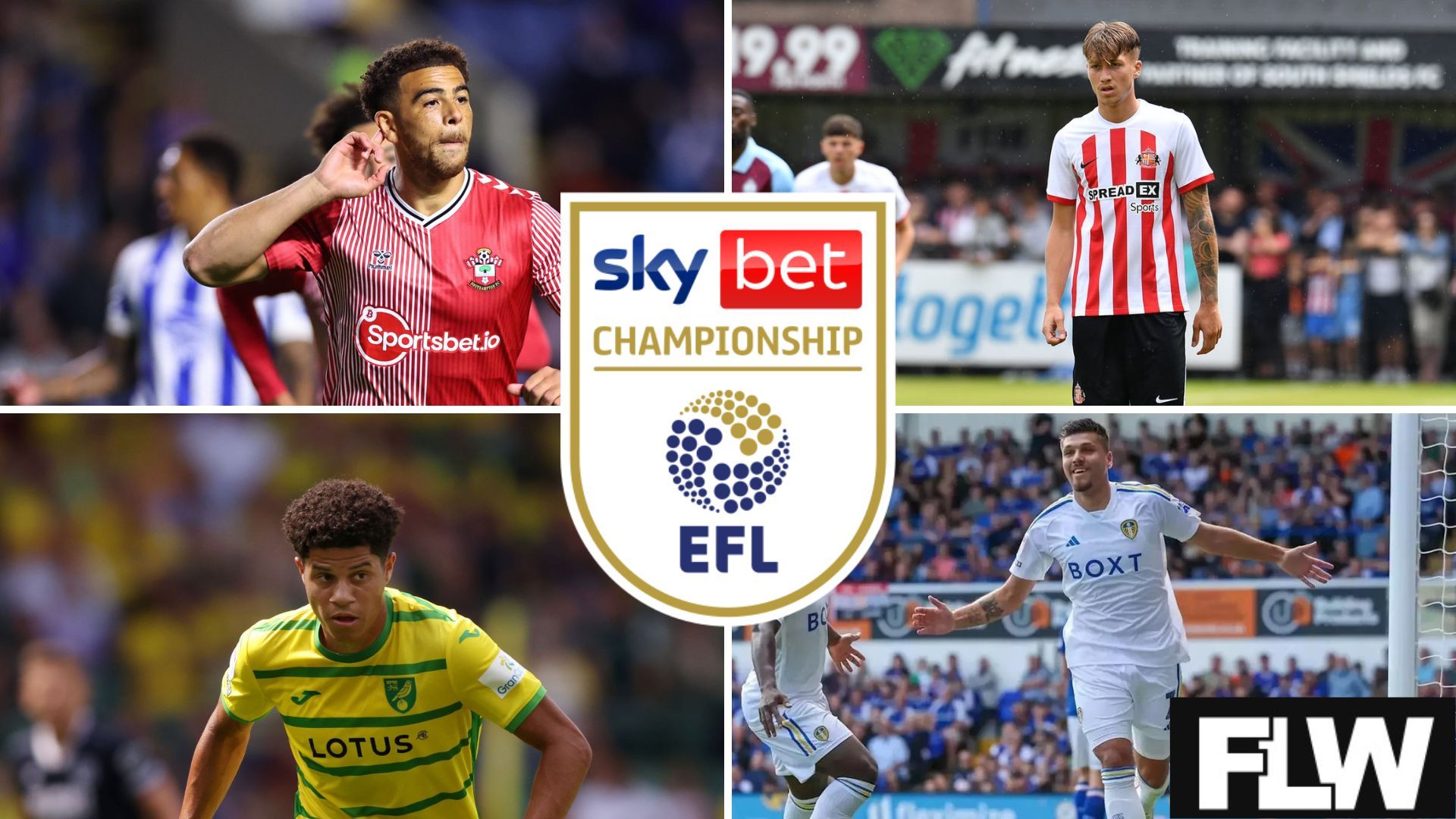 efl championship player of the month november