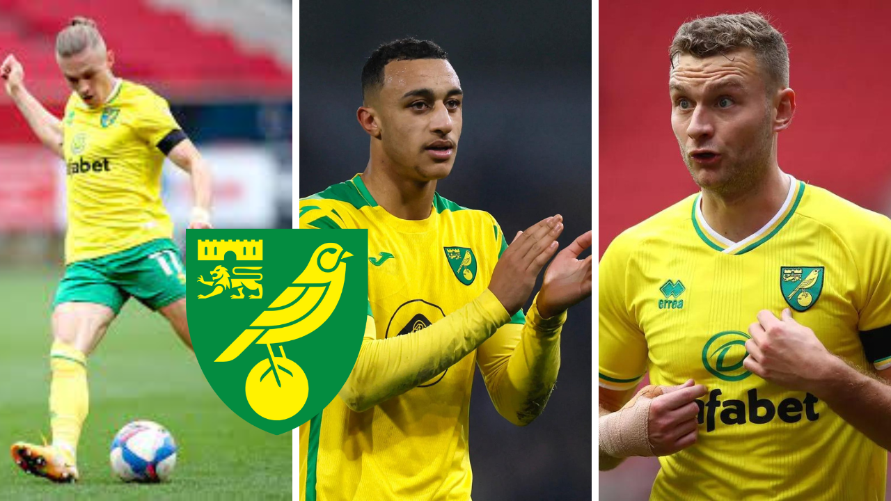 3 Norwich City players who always seem to divide opinion