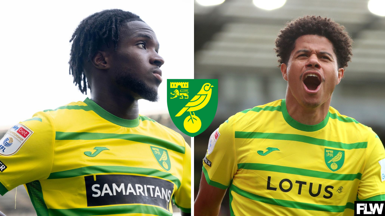 Norwich City need to brace themselves for the January transfer window ...