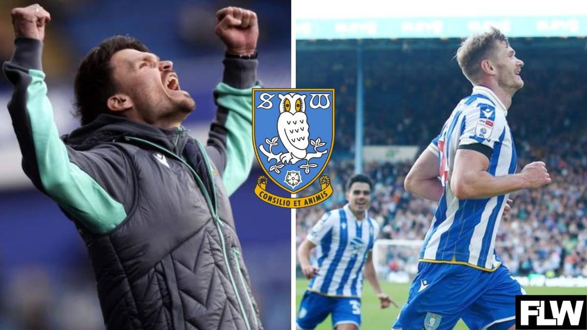 Danny Rohl sends passionate Sheffield Wednesday message after Rotherham win