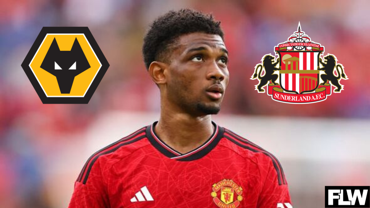 Latest Wolves development is not what Sunderland supporters will want ...