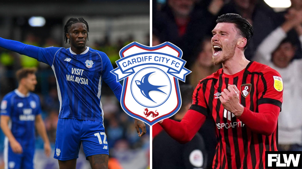 One Cardiff City player will surely have questions if Kieffer Moore is ...