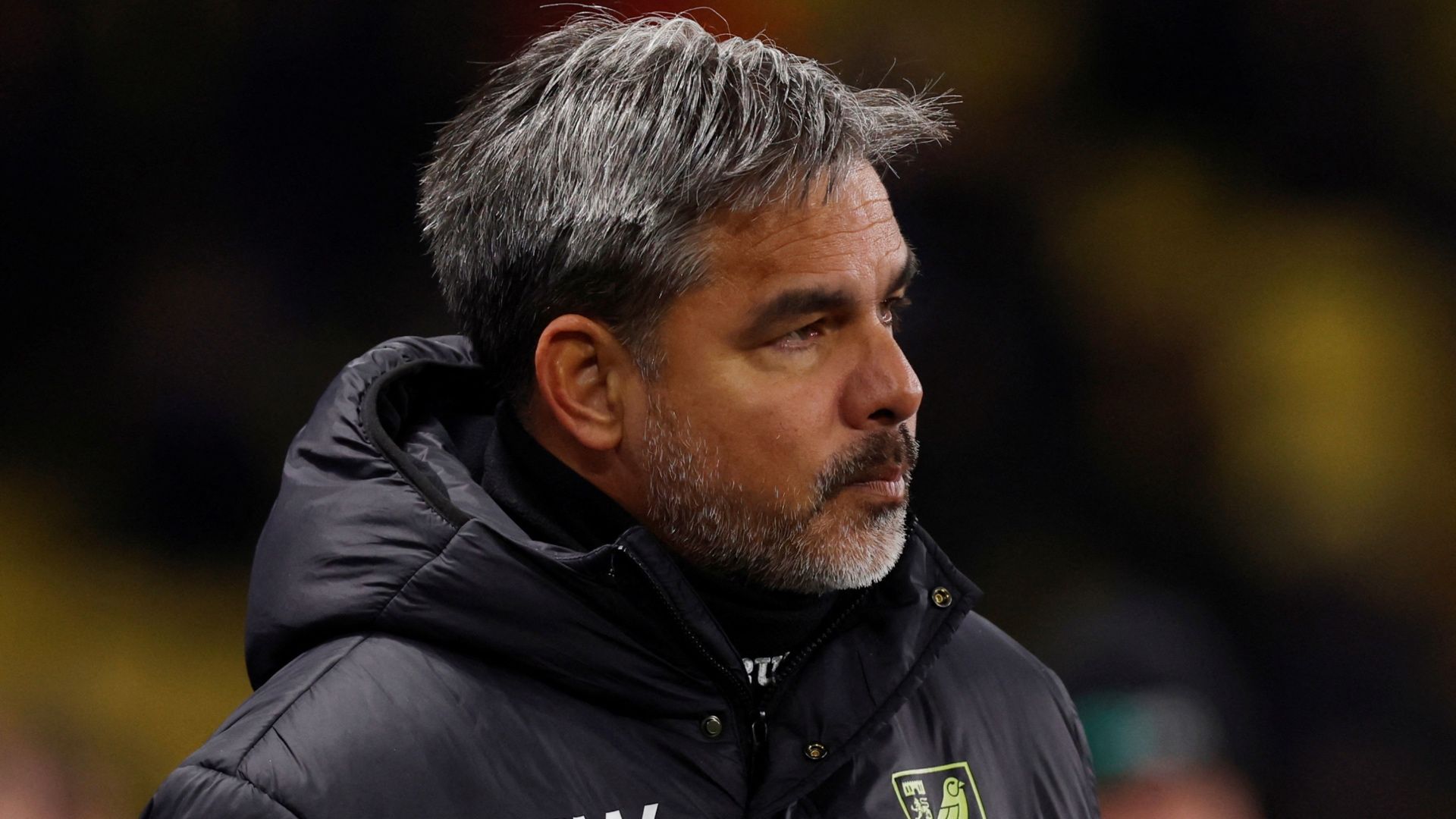 David Wagner reveals Norwich City dressing room response to Watford defeat