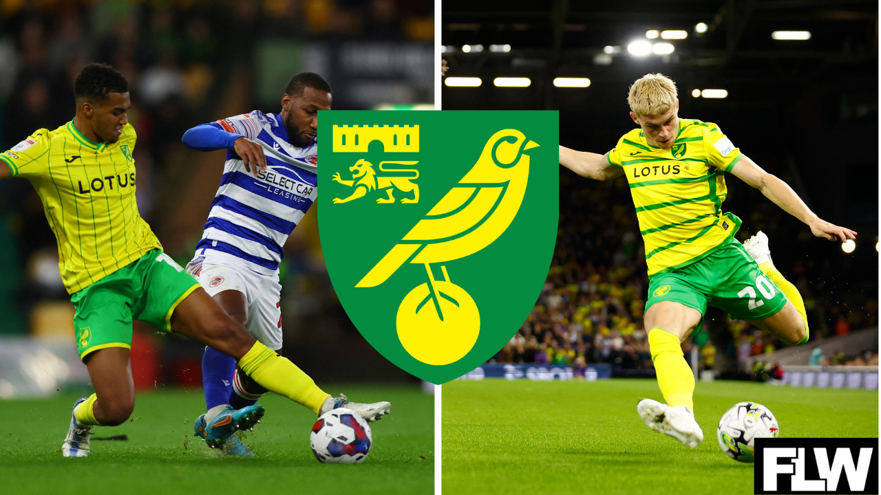 These 2 Norwich City players have just a month to prove they are worth