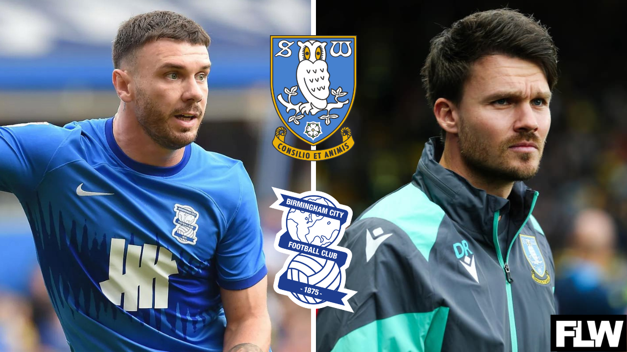 Potential Birmingham City punt from Sheffield Wednesday is a gamble: View