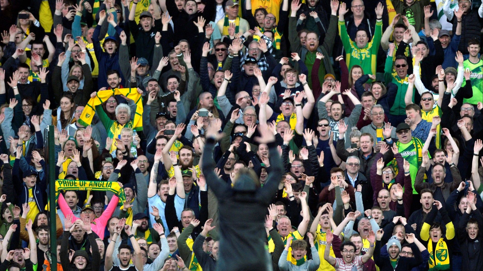 Norwich City fans