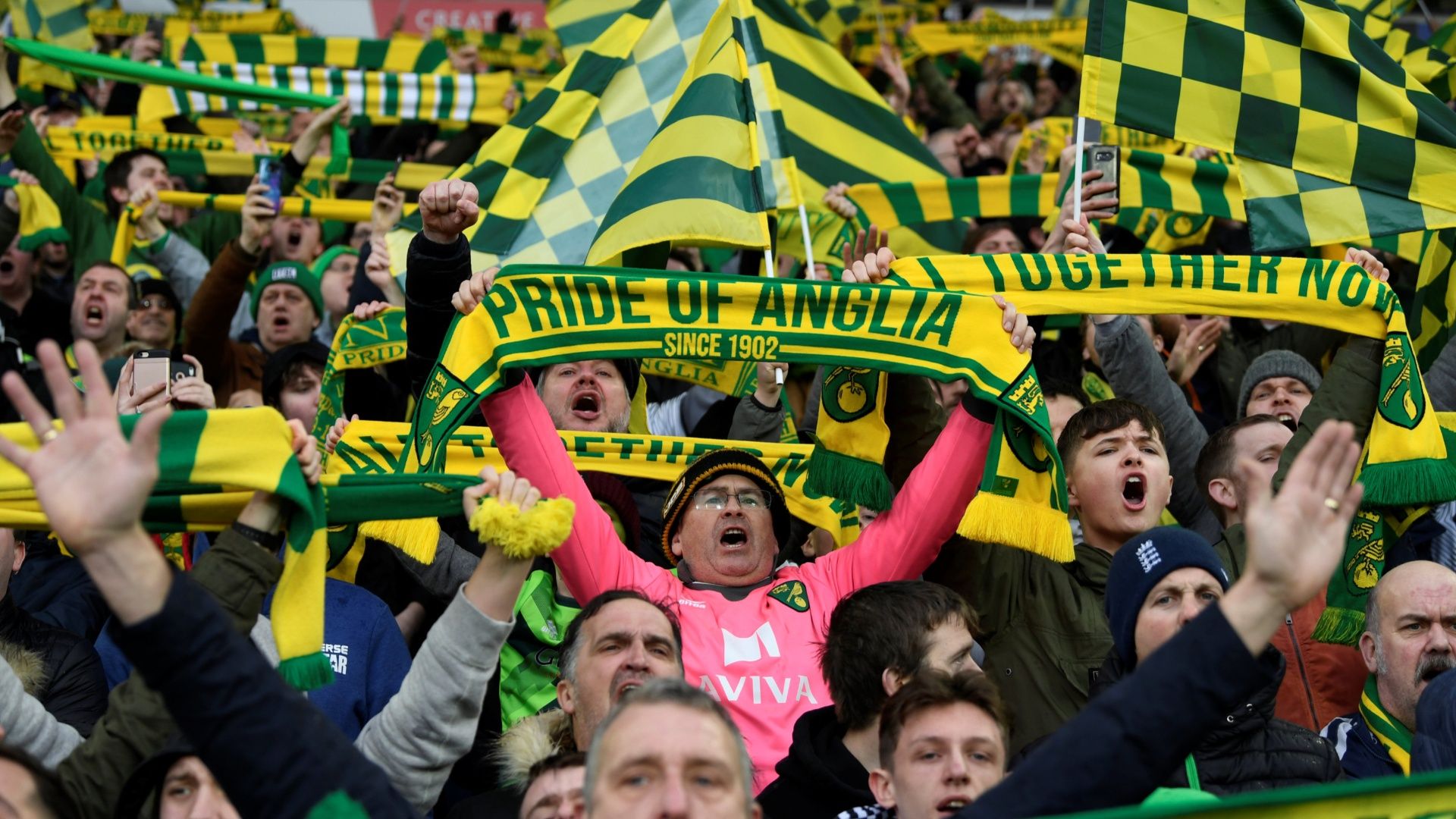 Norwich City fans