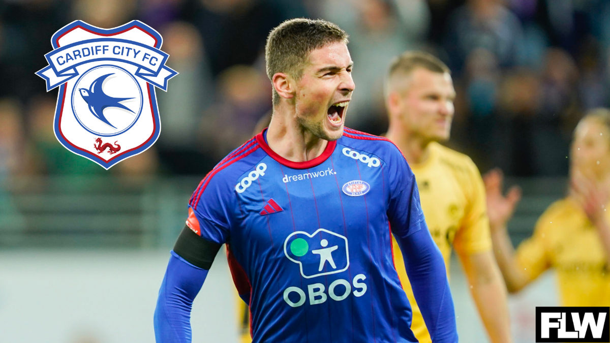 Cardiff City: €5 million price-tag set for transfer target Andrej Ilic