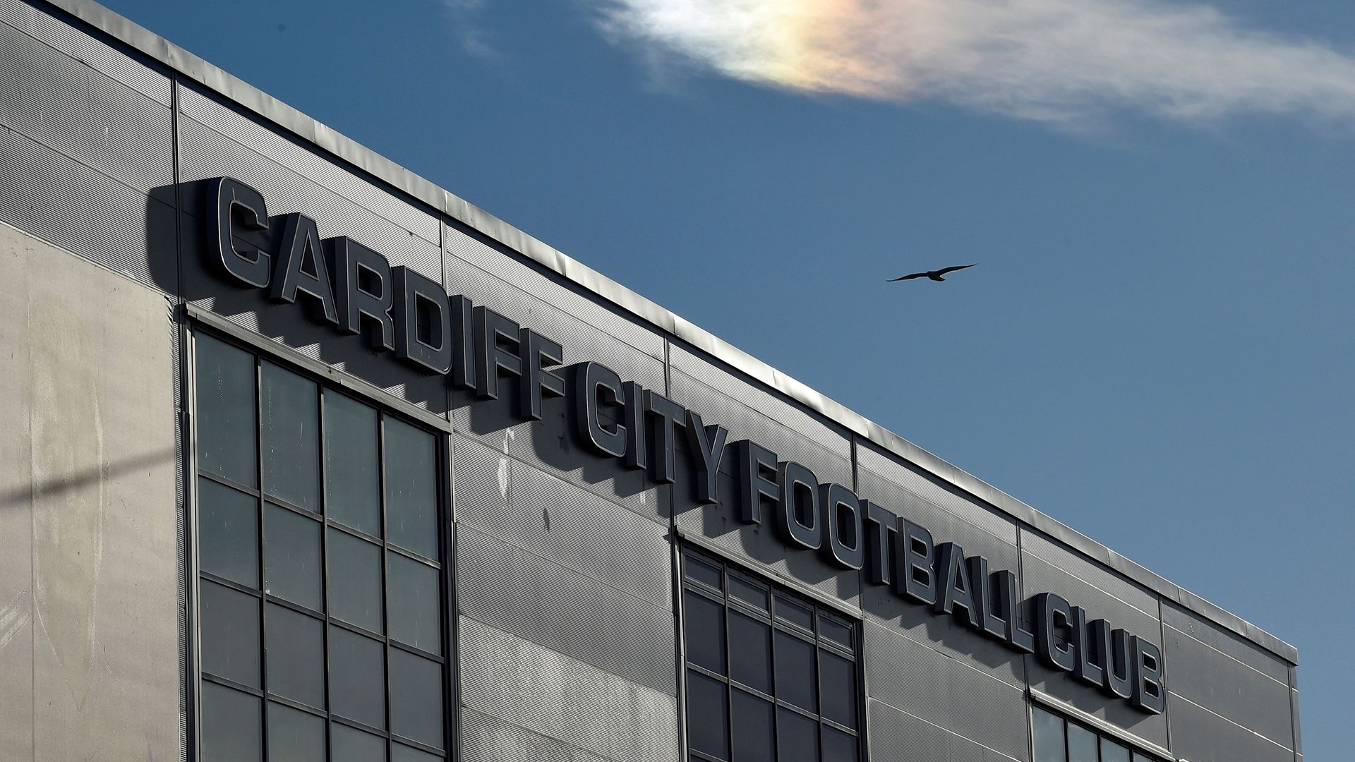 "It's really poor" Cardiff City told to seal Steven Schumacher deal in frustrated message