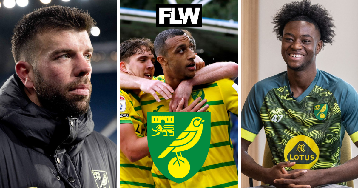 The 7 Norwich City players likely to exit Carrow Road from June onwards