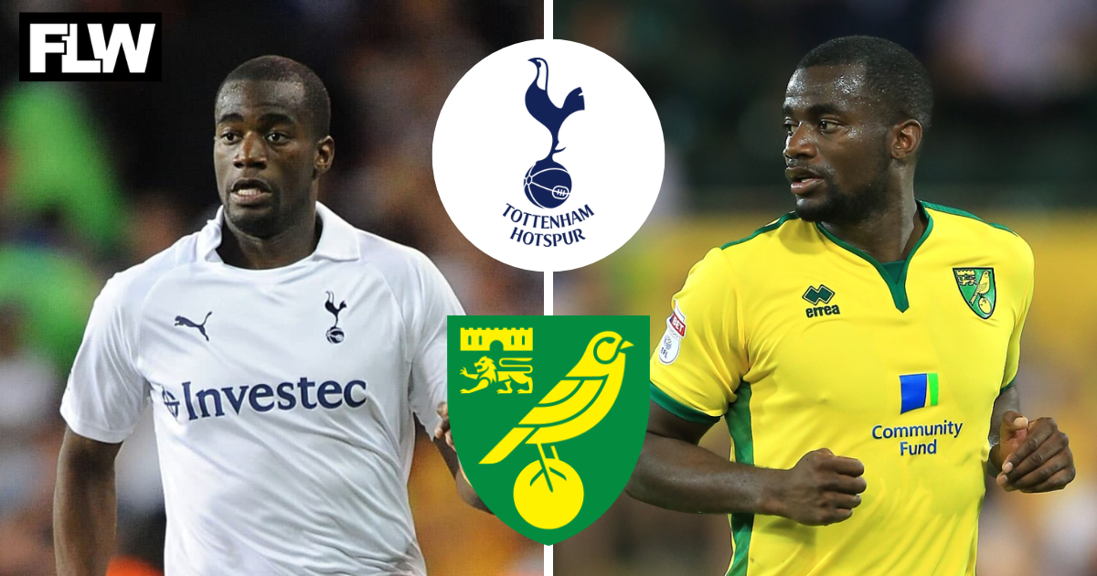 “Prove them wrong” - Seb Bassong drops Norwich City, Tottenham transfer reveal - Football League World