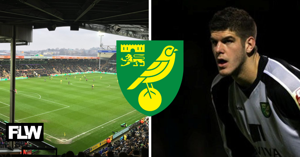Newcastle United deal proved a masterstroke for Norwich City: View
