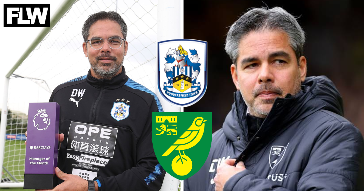 Huddersfield Town gamble is now working in Norwich City's favour: View