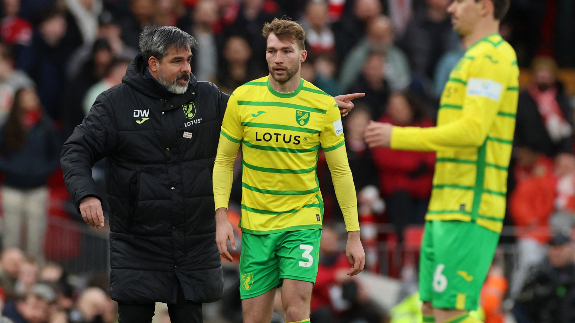 Jack Stacey for Norwich City