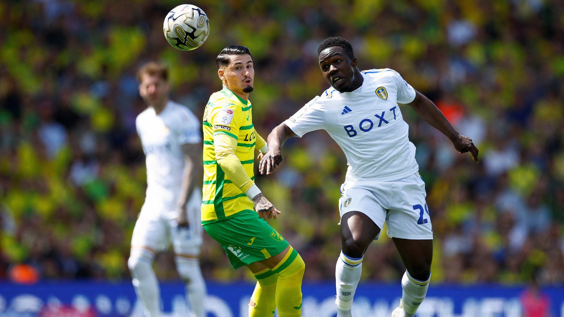 borja sainz and wilfried gnonto norwich v leeds