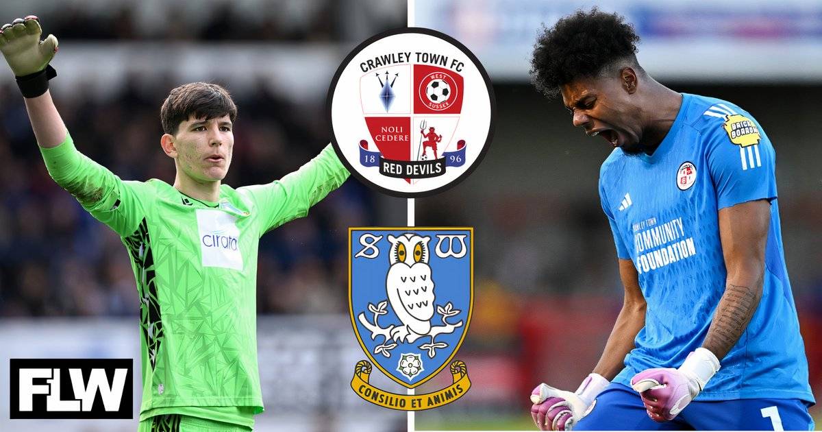 Sheffield Wednesday: Crawley Town's Corey Addai can be James Beadle ...