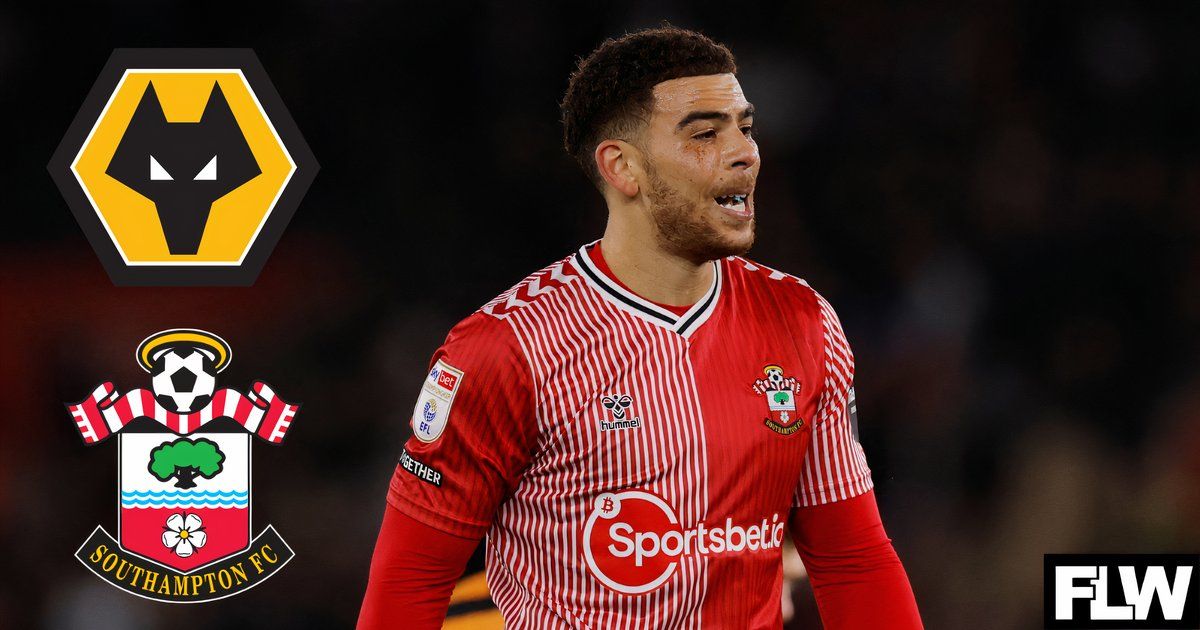 Southampton: Che Adams update amid Wolves interest