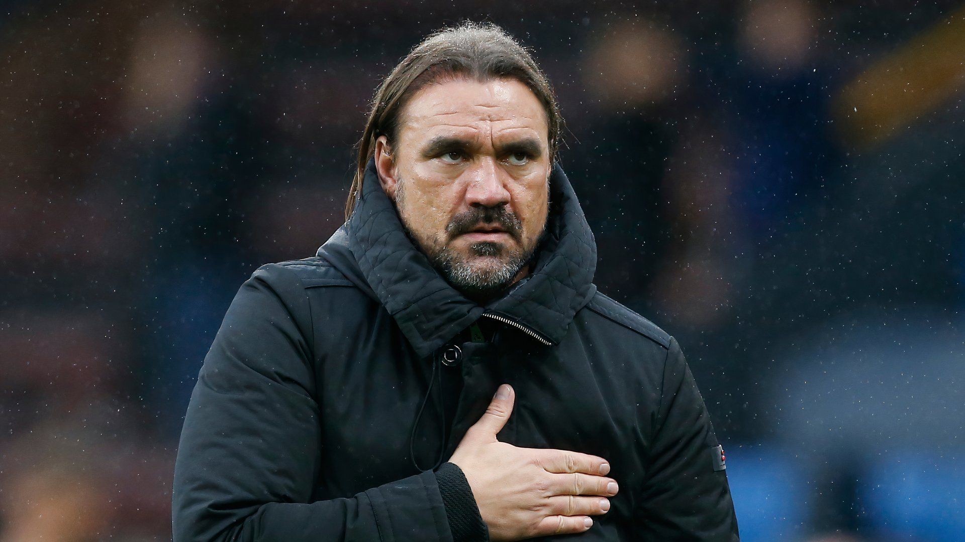 Daniel Farke for Norwich City