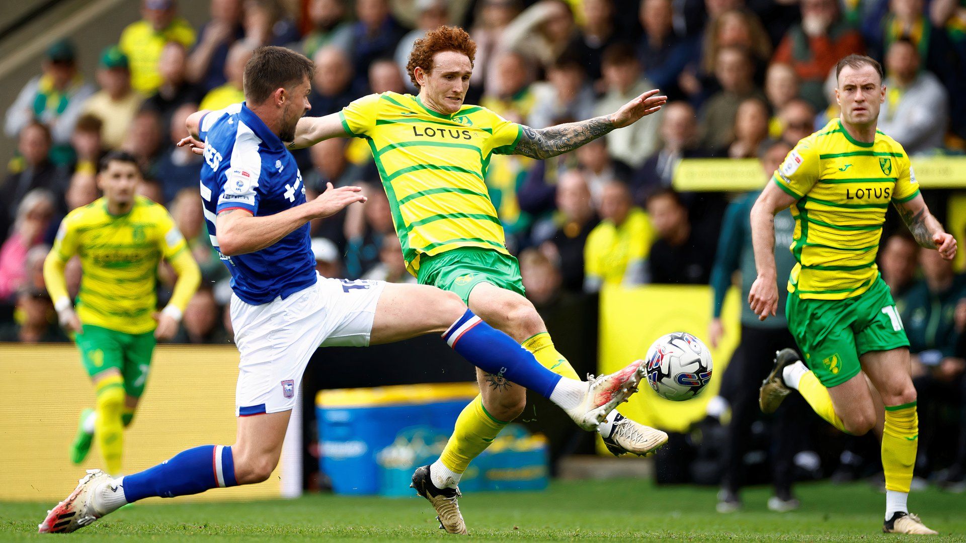 Josh Sargent for Norwich City