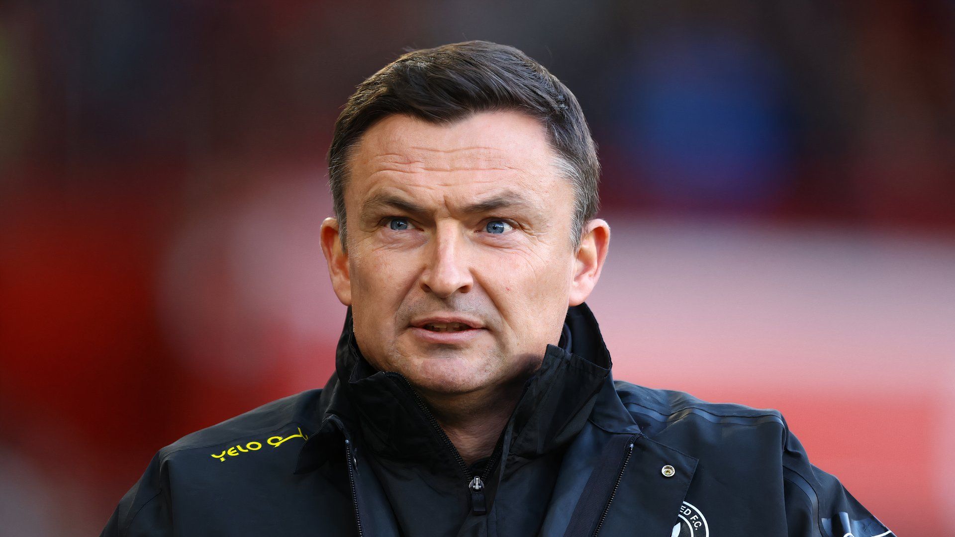 Paul Heckingbottom Sheffield United