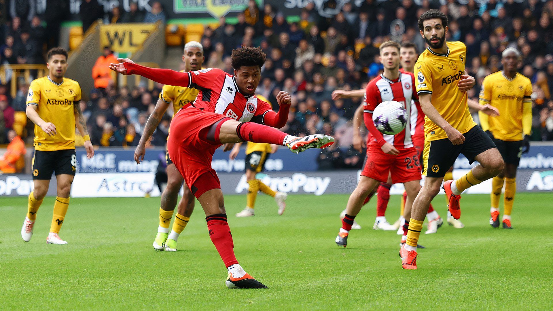 Rhian Brewster in action for Sheffield United