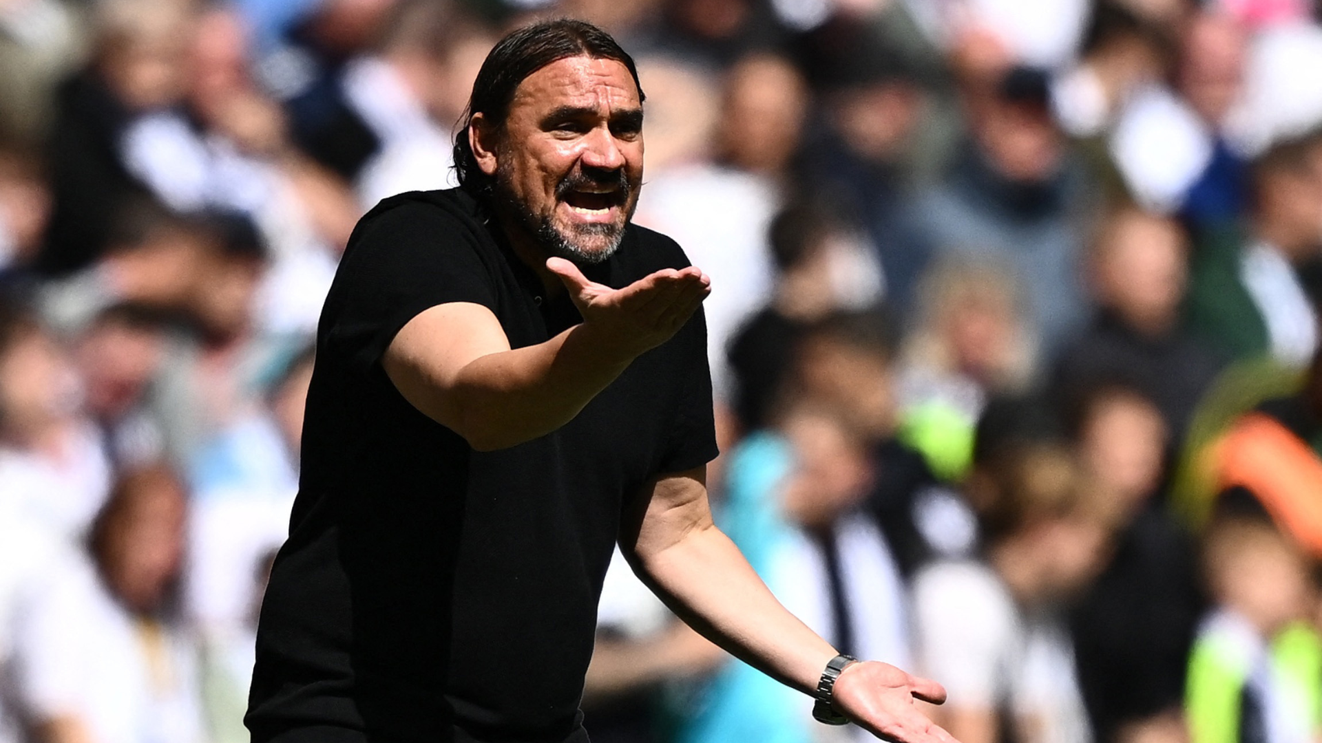 Daniel Farke Leeds United