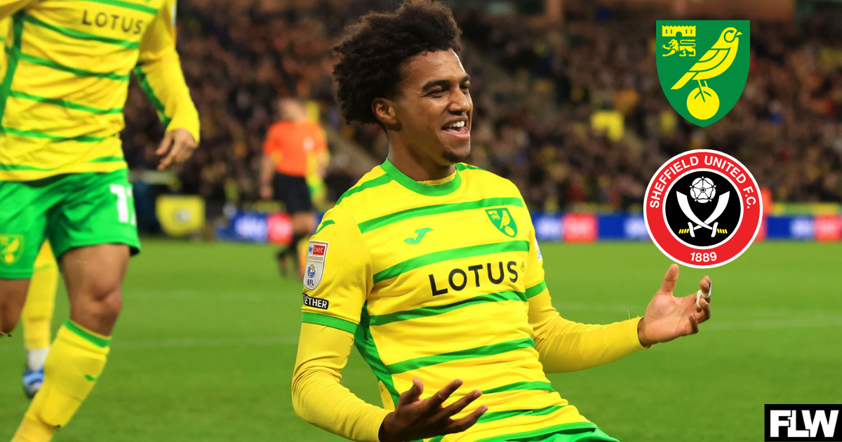 Risky" - Reaction given as Norwich City star looks set to join Sheffield  United