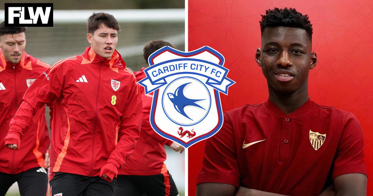 Image Result For Cardiff City Make Calum Chambers Captain Rubin Colwill Vice