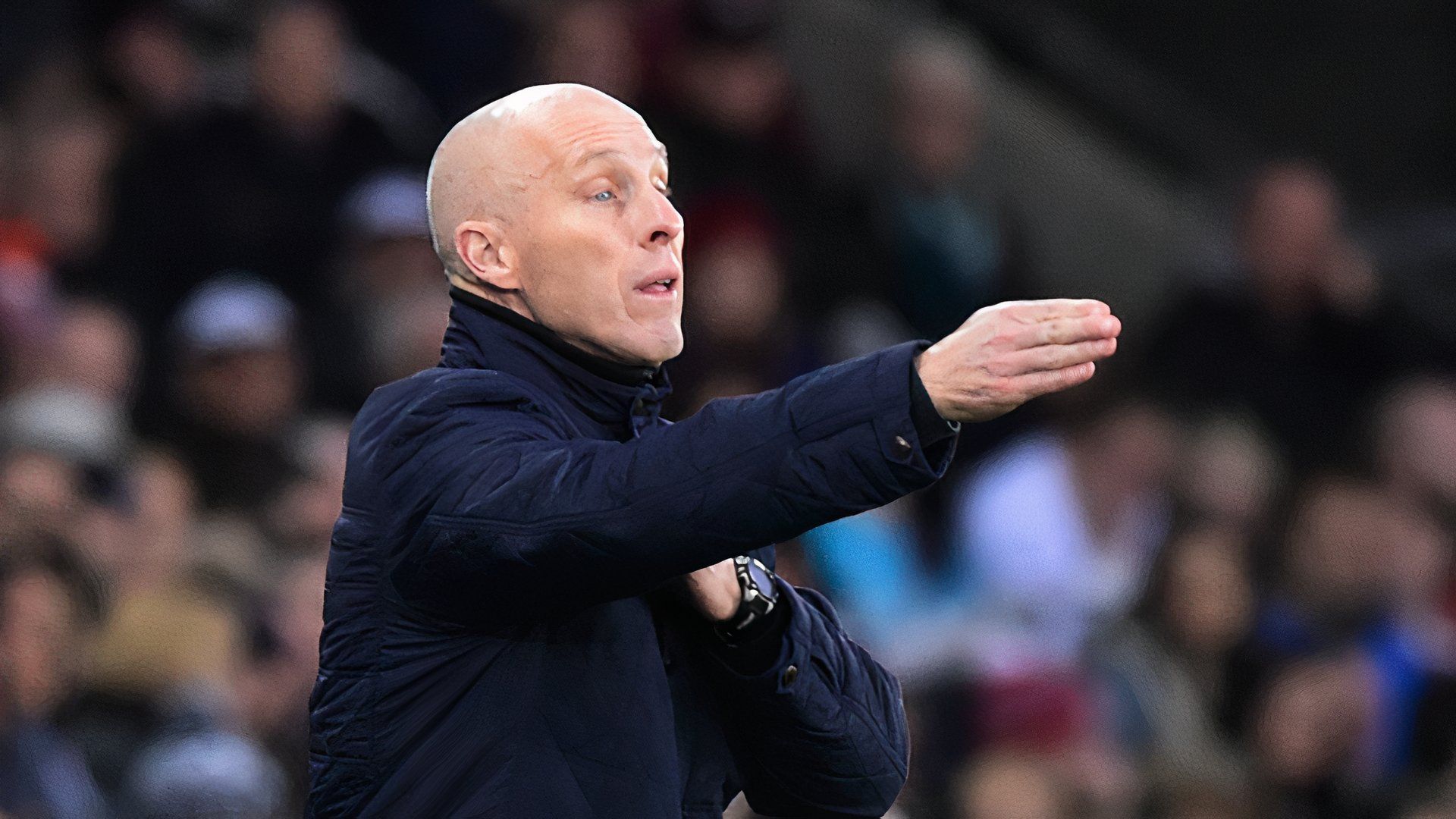 Bob Bradley Swansea City